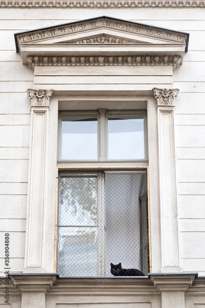 Fototapeta premium A lonely and curious black cat sits next to an open window of a building with a white wooden facade, in the city of Berlin. Domestic cat's life in house
