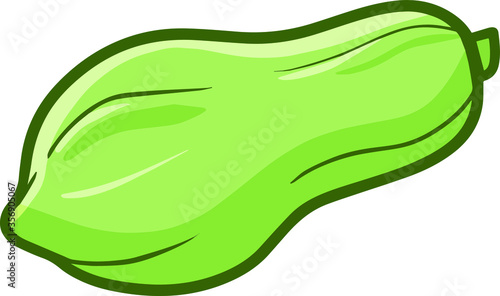 Cute and funny yummy papaya ready to eat