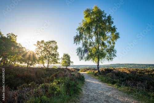 Suprise View, Hathersage in the dramtic Peak Distric, fantastic adventure travel destination or holiday vacation to view picturesque scenery at sunrise or sunset photo