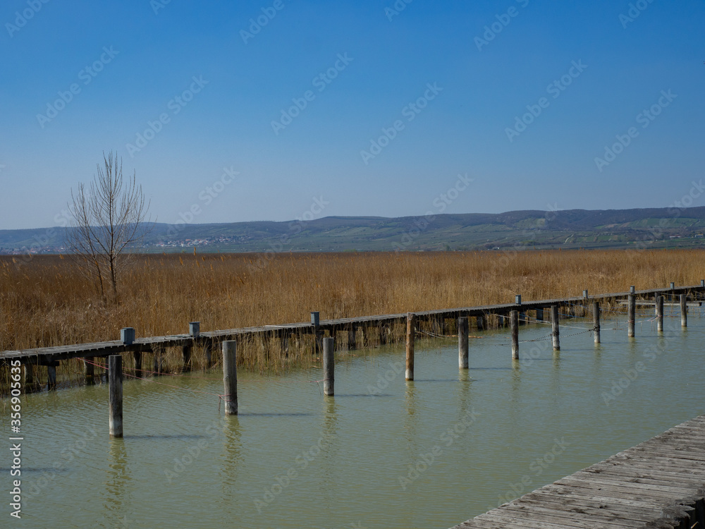 Wooden jetty at a lake in spring