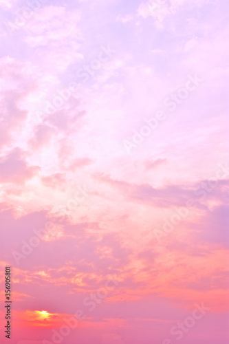 sunset in the pink sky