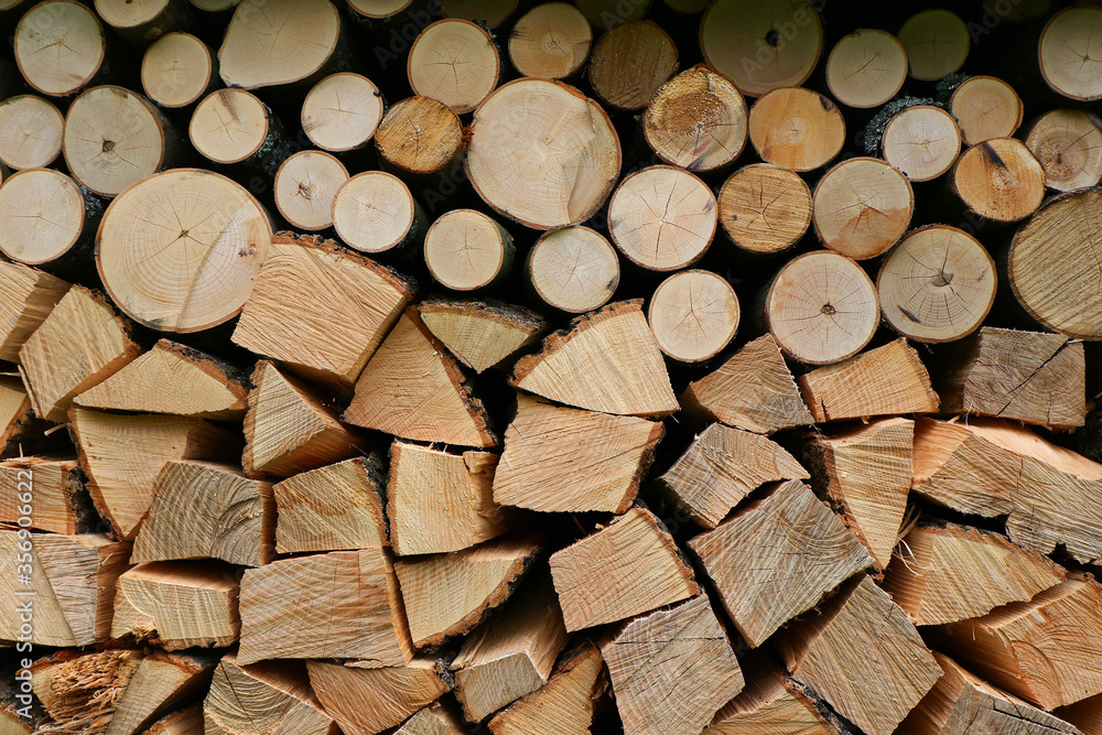 Fototapeta premium Drewno