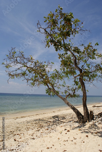 SPIAGGIA © erikapalla