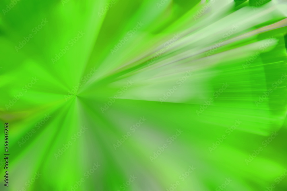 Obraz premium Abstract Over Bright green Zoom Blur Motion texture backgrounds, picture is made from flower in garden. Use for advertising to General business such as financial institutions, banking institution 