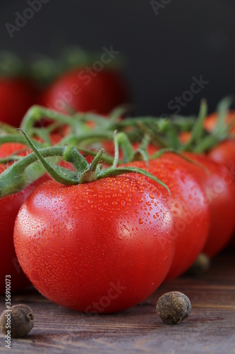 fresh tomatoes on a twig