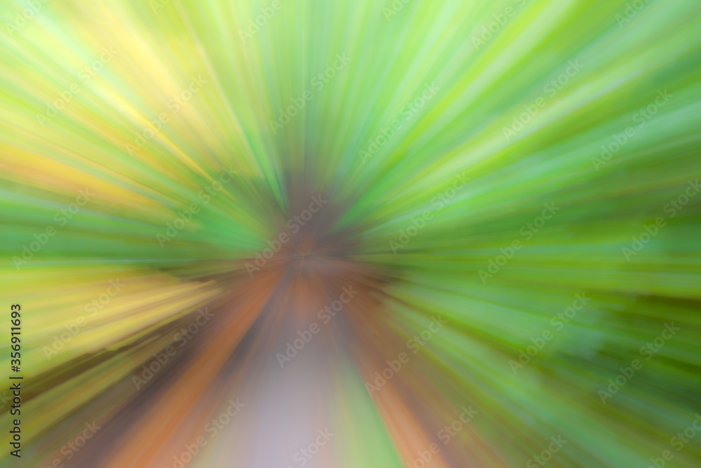 summar forest on a bright sunny day. Abstract photo. Colorful textured background. long shutter speed. summar forest on a bright sunny day. Abstract photo. Colorful textured background. long shutter speed.