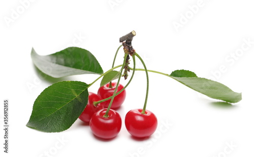 Ripe tart, sour cherries with leaves isolated on white background