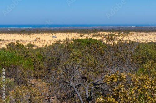 The Pinnacles desert. Caravan crossing the desert with ocean at the horizon. Vegetation of the dry landscape at the foreground. Western Australia WA, Australia, near Perth capital city.