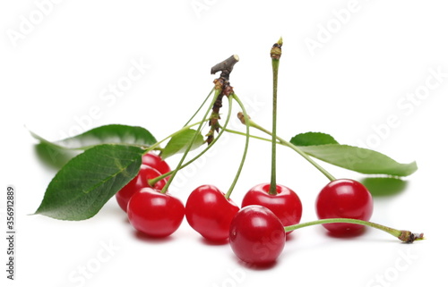 Ripe tart, sour cherries with leaves isolated on white background