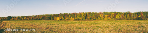 Panorama Autumn forest in front of a meadow against a blue sky. Autumn landscape