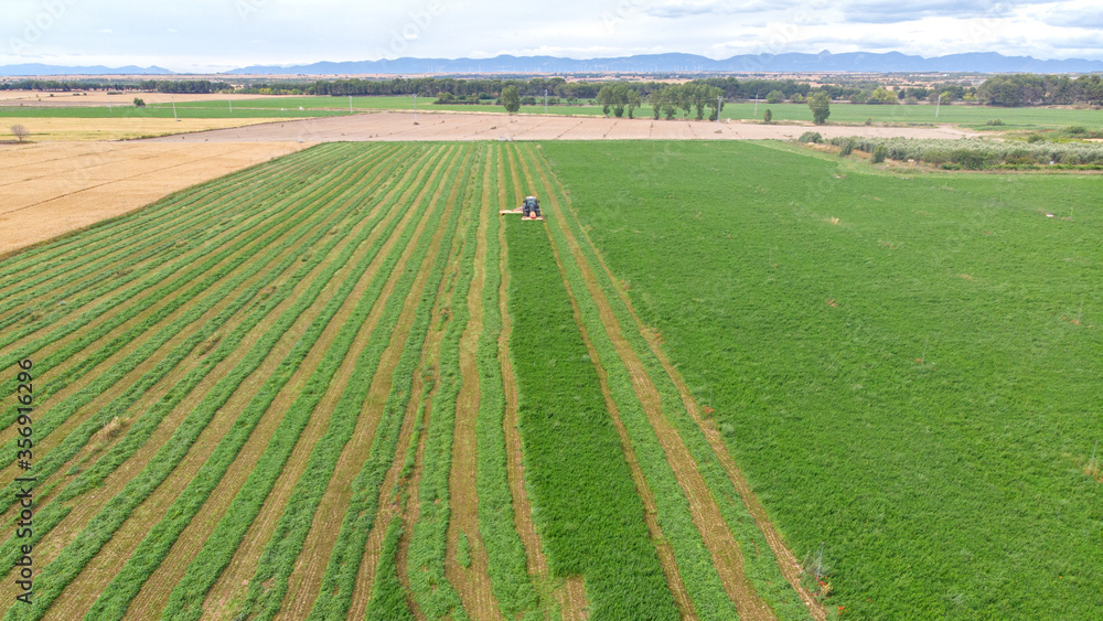agricultura corte alfalfa