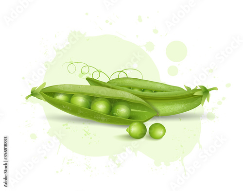 green peas vector illustration with pea beans on light green background