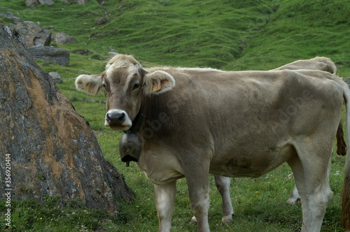 Wallpaper Mural vacanza Torontodigital.ca