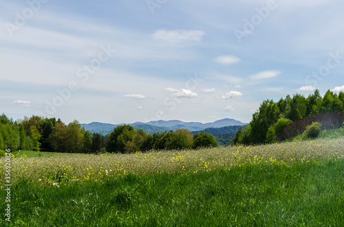 Fototapeta Naklejka Na Ścianę i Meble -  panorama bieszczady