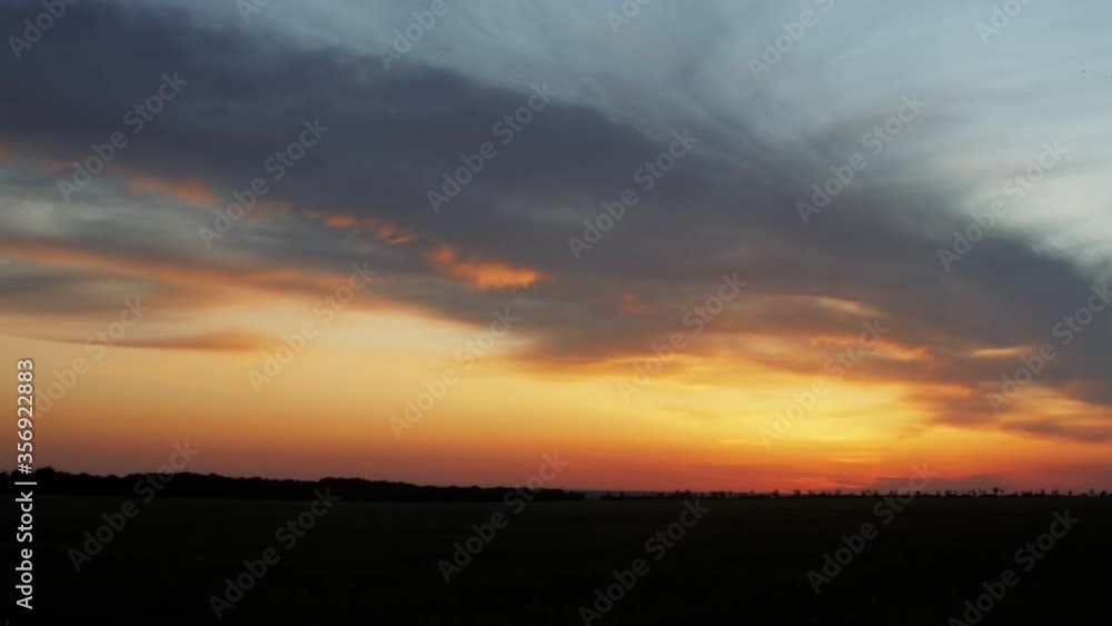 silhouette field of wheat spikelets, summer nature, beautiful landscape with cloudy sunset sky, shooting with a crane, camera flight, farming and harvest silhouette field of wheat spikelets, summer nature, beautiful landscape with cloudy sunset sky, shooting with a crane, camera flight, farming and harvest