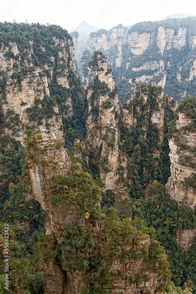 Karst mountains widen out of the jungle in zhangjiajie
