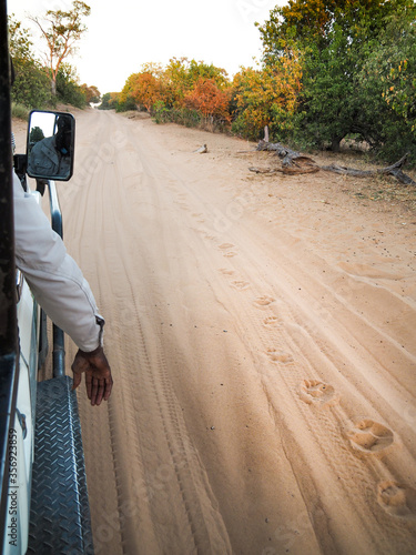 Spuren lesen in Botswana