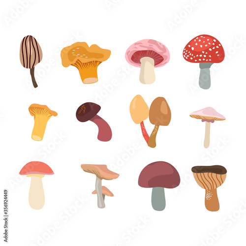 mushroom vector set on isolated white background