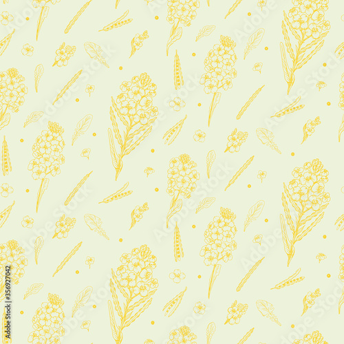 Rapeseed Flowers with Pod, Seeds  in hand draw style. Seamless vector pattern. Colorful 