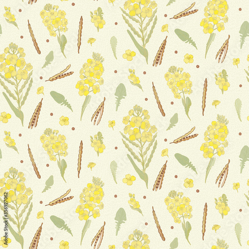 Rapeseed Flowers with Pod, Seeds  in hand draw style. Seamless vector pattern. Colorful 