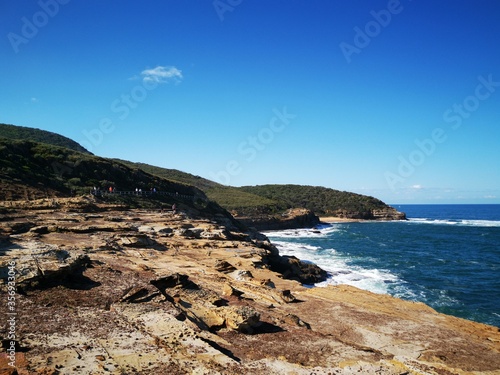 Putty Beach, Bouddi Coastal Walk, Bouddi National Park, Killcare Heights, NSW, Australia photo