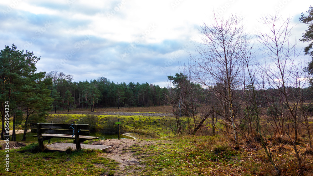 View on a moor with a bench and a pool near Soesterberg, Netherlands
