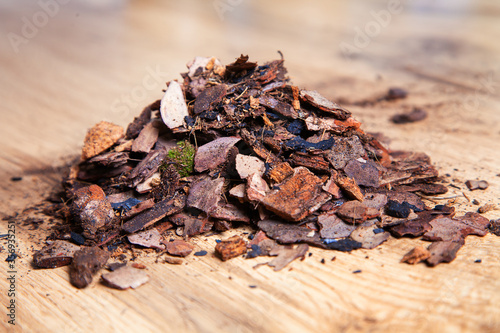 Φωτογραφία Dry pine bark for transplanting orchids of other plants