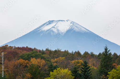 Fuji mountain with autumn tree, Kawaguchiko, Japan