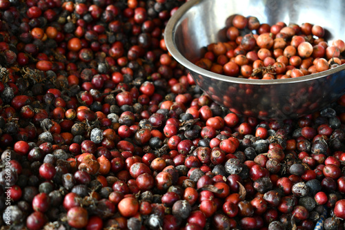 Coffee beans cherry process organic robusta in thailand