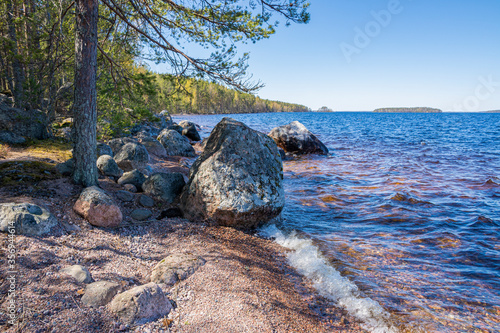 Tableau sur toile View of the shore of The Lake Saimaa, Sarviniemi, Taipalsaari, Finland