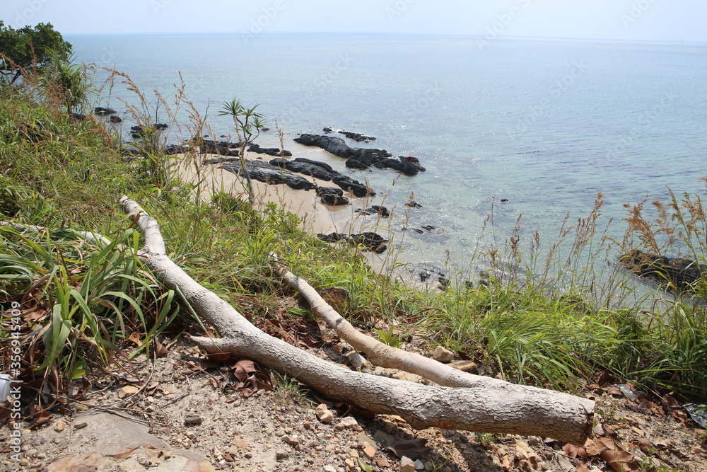 scenic dead dry tree trunk on foreground of an empty hidden white sand rocky beach, with green grass and blue sky. Shot during summer travel vacation in tropical Koh Lanta, Thailand