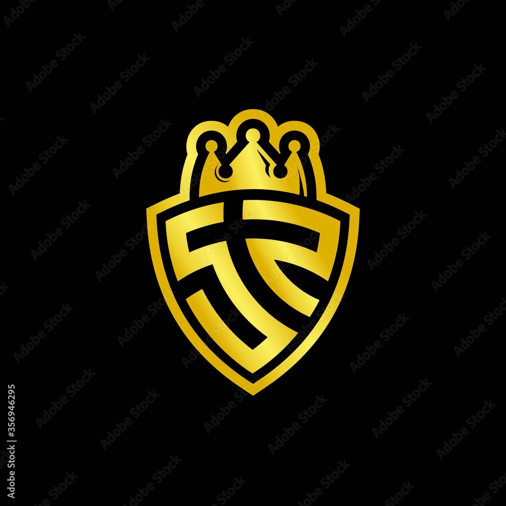 SZ monogram logo with shield and crown style design template Stock ...