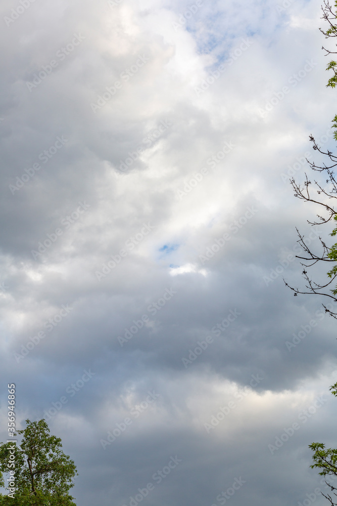 Fototapeta premium Dramatic sky with clouds before a thunderstorm and tree branches