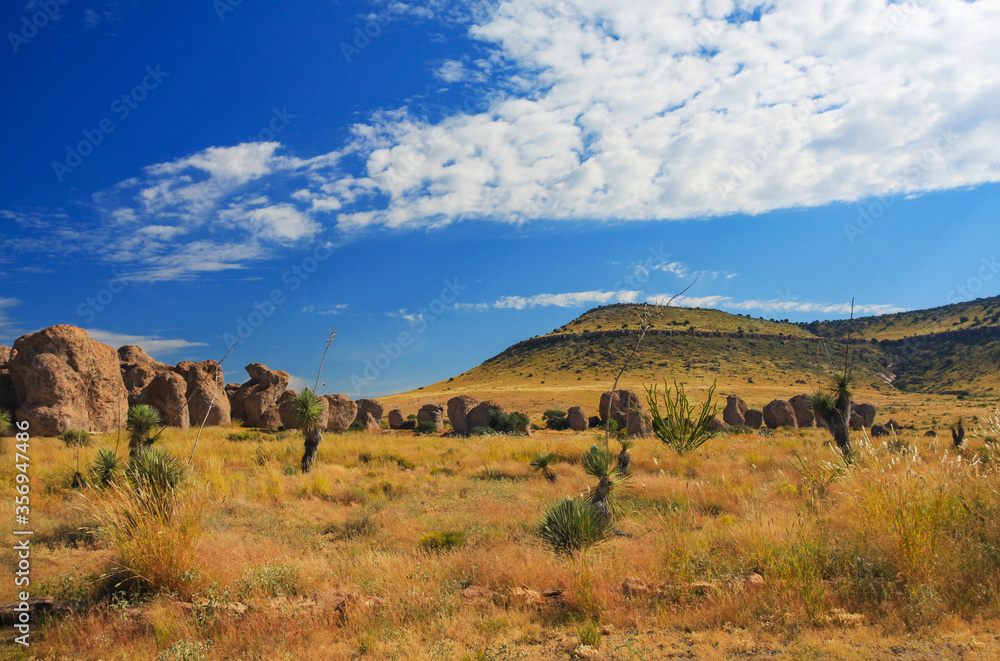 Landscape at City of Rocks state park in New Mexico, USA showing boulders and pinnacles formed by volcanic eruption from Emory caldera 35 million years ago