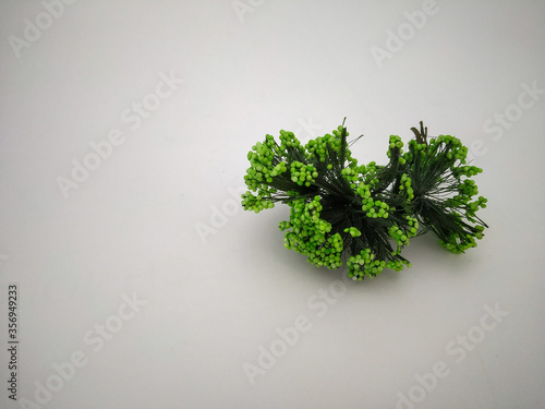 green bushes isolated with white background