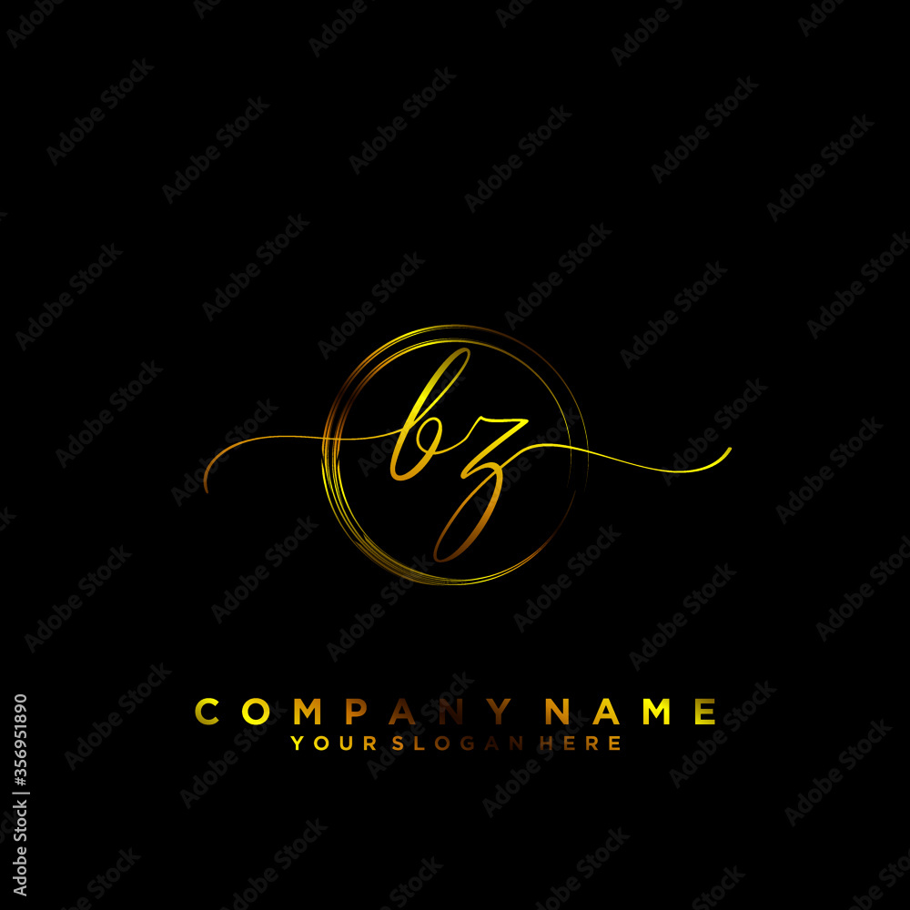 BZ Initial handwriting logo vector BZ Initial handwriting logo vector