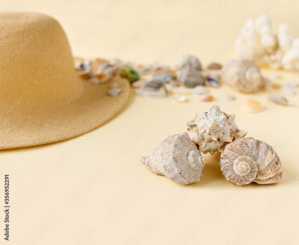  Beautiful straw hat with shells on the ocean coast. Nature summer background.