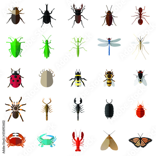 bug insects vector set © hh