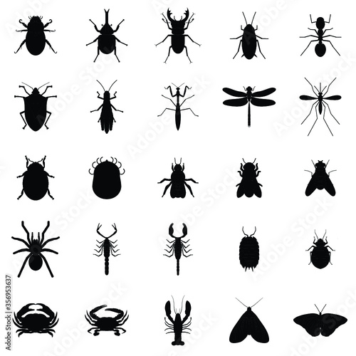 bug insects vector silhouette set © hh