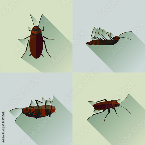 vector set of cockroach