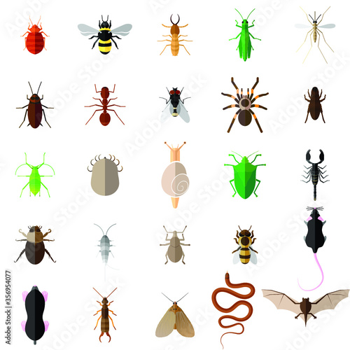 collection of insects