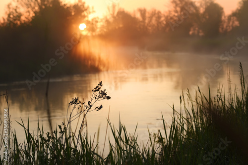 Dawn on the lake. The sun in the fog above the water and grass on the shore.