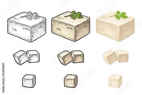 Tofu. Vector color vintage engraved illustration isolated on white background.