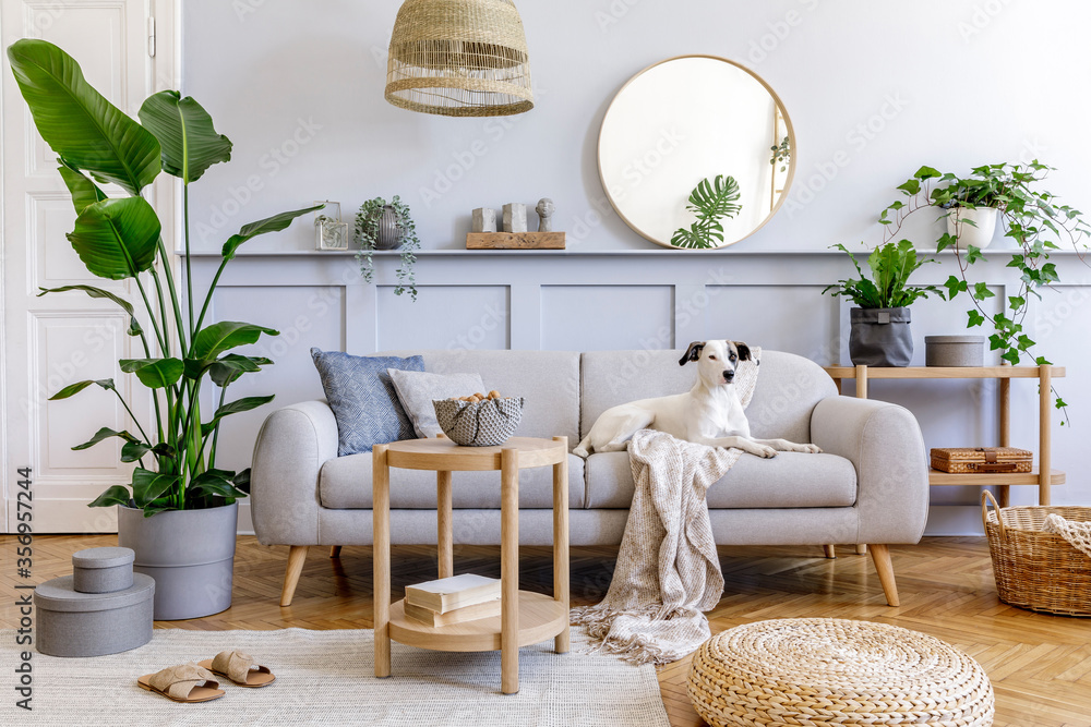 Interior design of living room with stylish grey sofa, coffee table