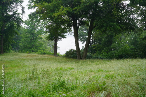 Parklandschaft an der Havel bei regnerischem Wetter