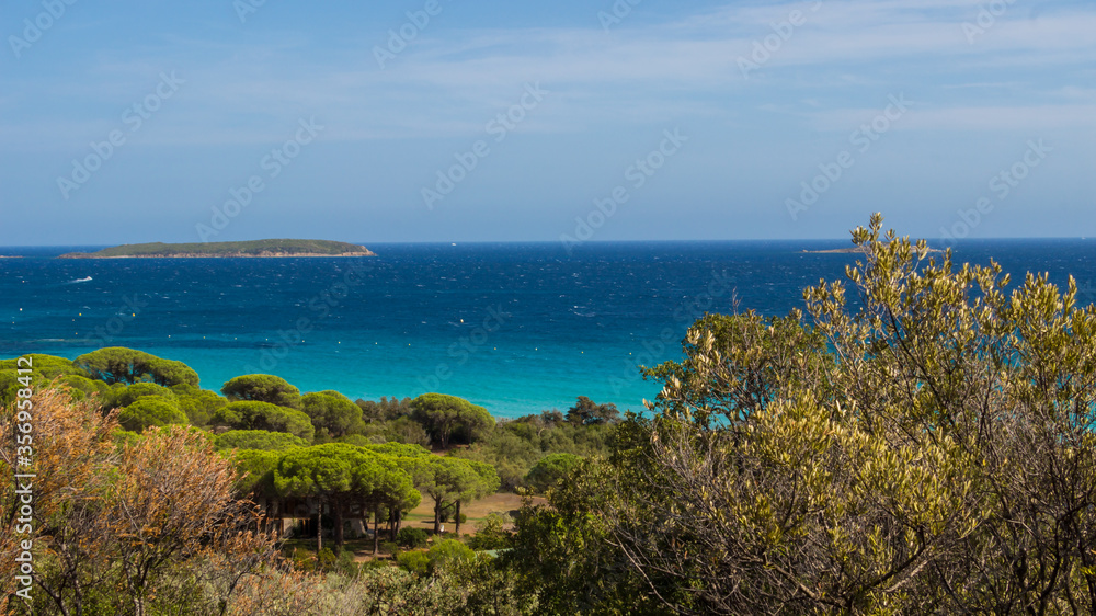 Summer landscape in Corsica in France