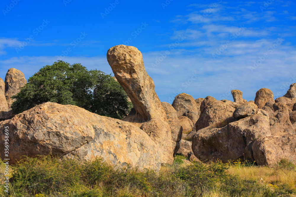 Pinnacle Weathering Rocks Boulder and pinnacle rock formations at City of Rocks state park in New ...