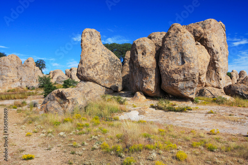 Rock formations at City of Rocks state park in New Mexico, USA.  Boulders and pinnacles formed by volcanic eruption from Emory caldera 35 million years ago © Nicola.K.photos