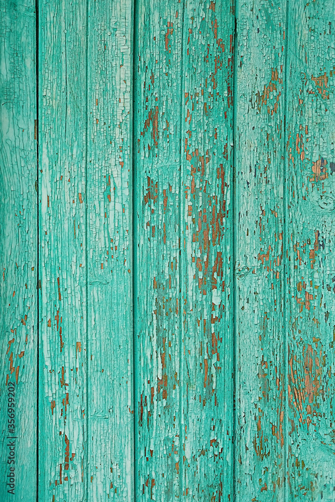 rough green painted wooden fence. old grunge board background rough green painted wooden fence. old grunge board background