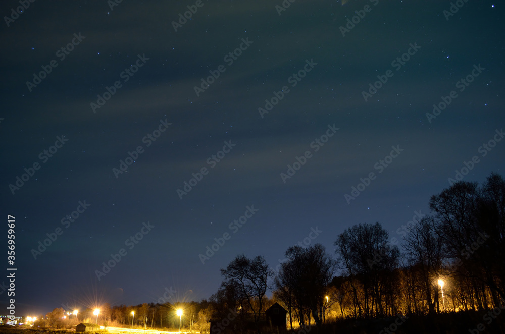 aurora borealis over lit public road, forest and buildings